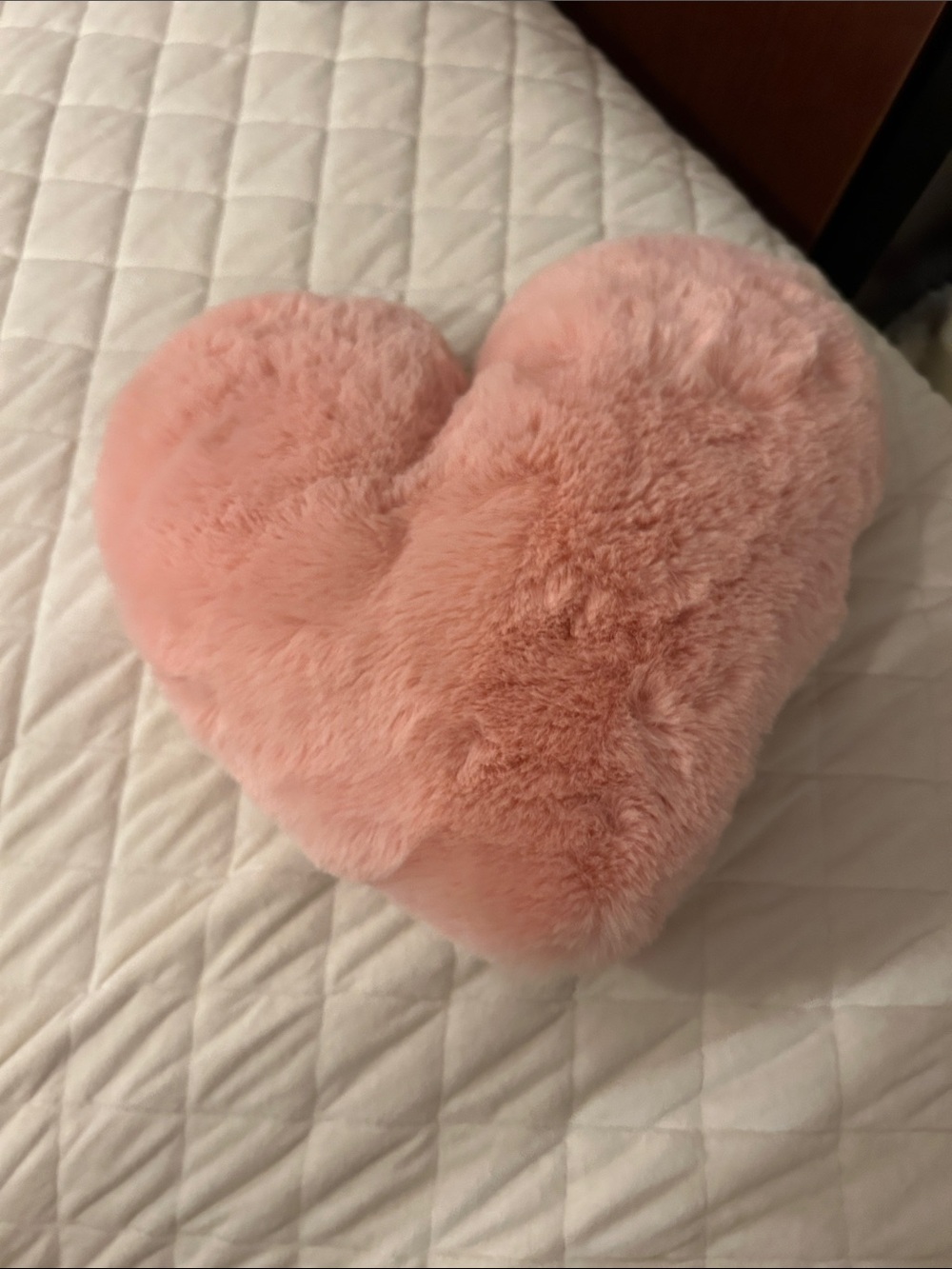 Nordstrom Fluffy heart pillow